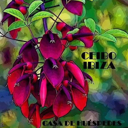 Ceibo - Ostello *
